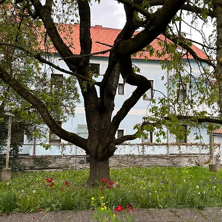 Apartment Pauline Mit Balkon Und Internet Knittelfeld Exterior photo